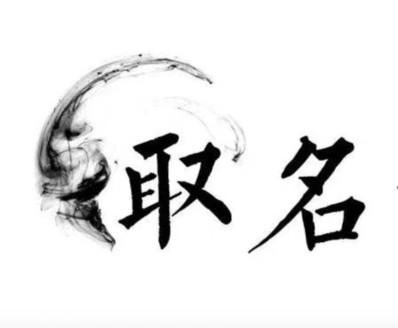  自流井宝宝取名 大师一对一人工起名